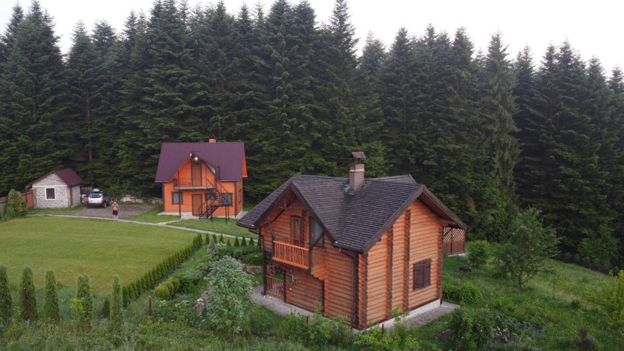 Drymba Skhidnytsia