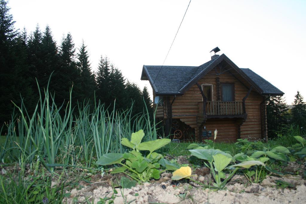 Holiday home Drymba