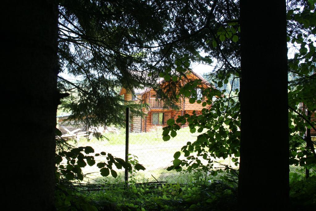 Drymba Skhidnytsia
